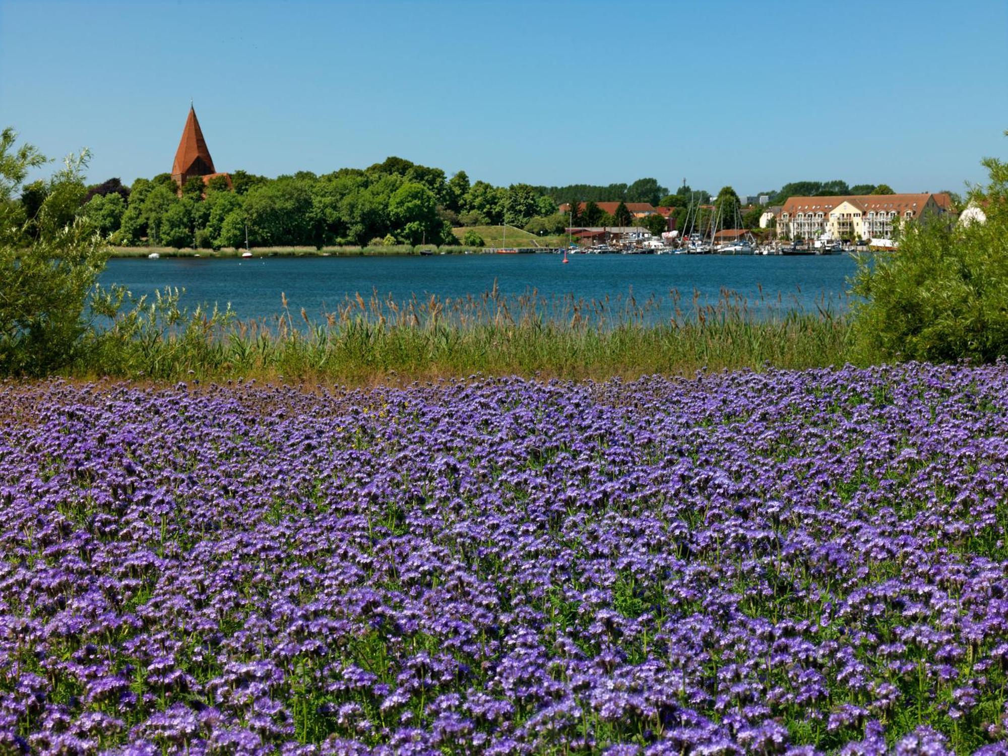 Inselbude Insel Poel Exteriér fotografie